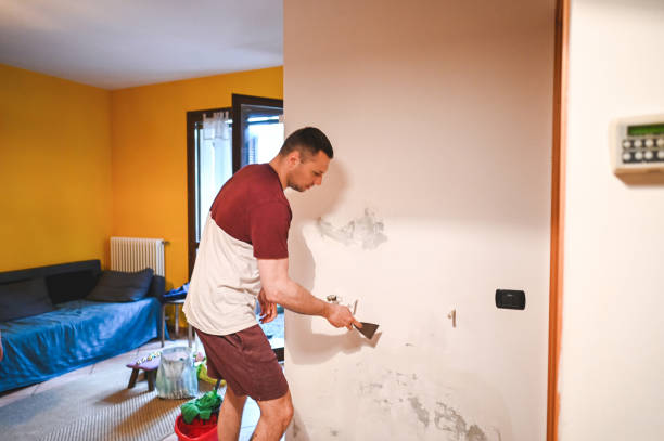 Best Preventive Mold Services in Lawrenceville, VA
